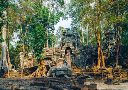 Ta Nei Temple -Cambodia Attractions